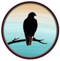 swifthawk construction icon